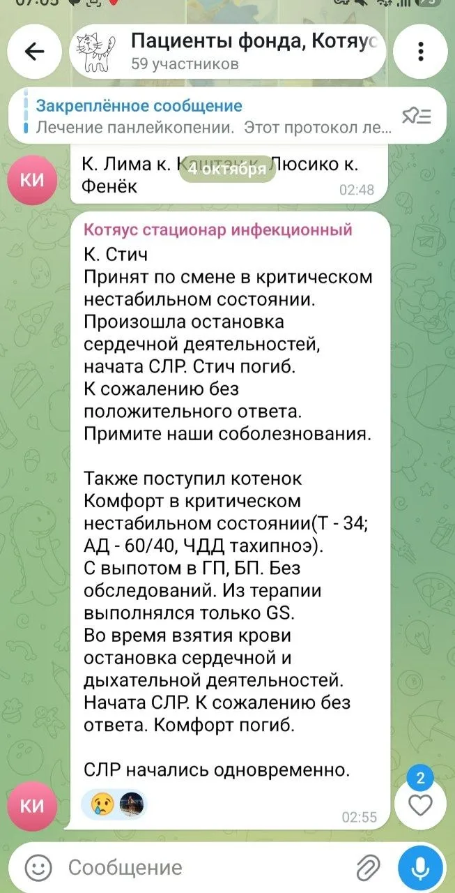 Стич.....