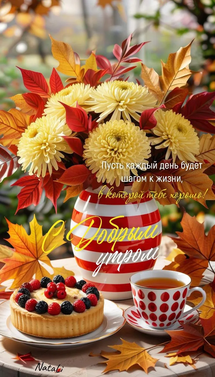 МИР ПОЗИТИВА 🤩 ОТКРЫТКИ!