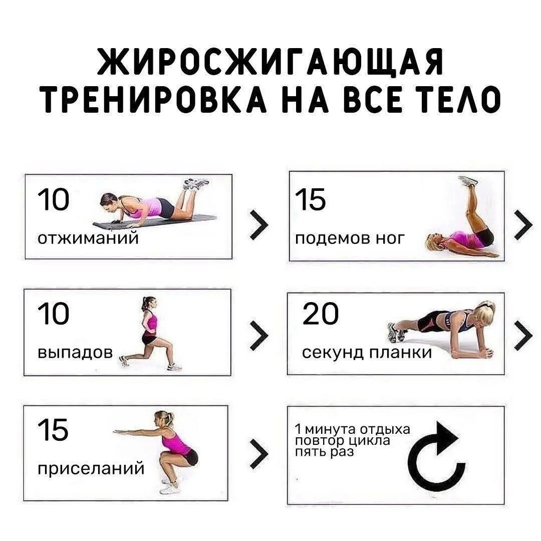 Жиросжигающая тренировка на все тело!

Эффективный комплекс!

#упражнение

🏃‍♂️‍➡️ Гимнастика на ка