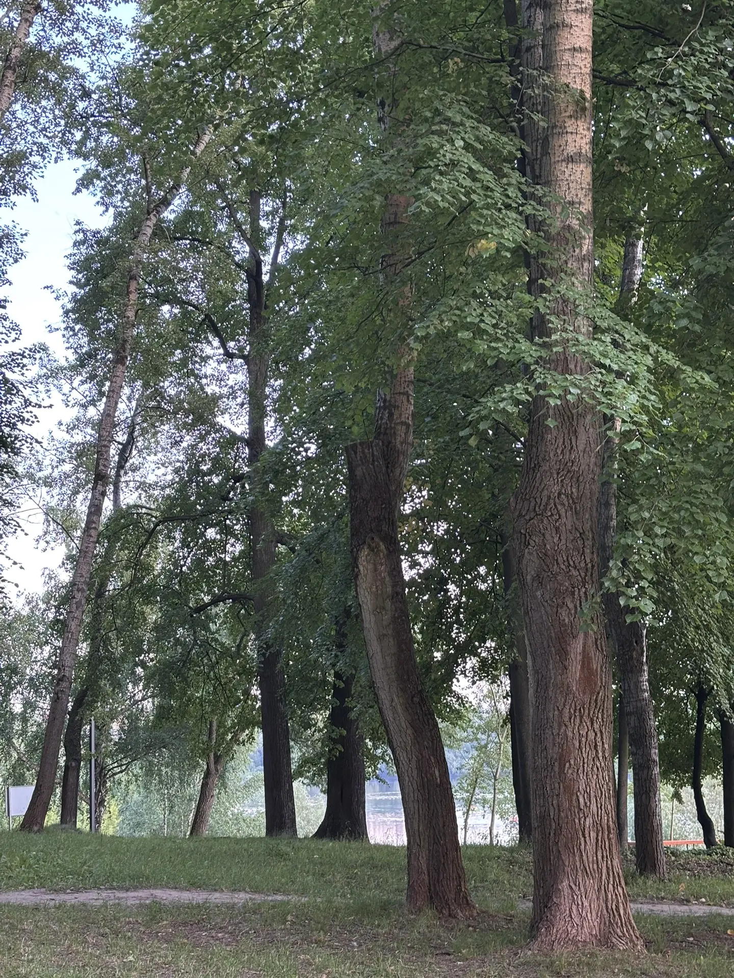 Как дела?