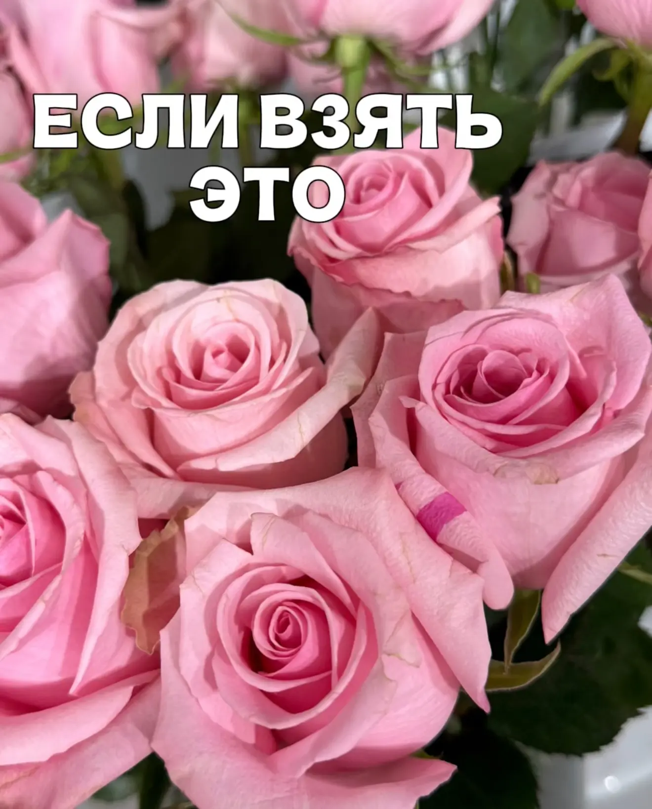 Вот такая цветочная математика в «КемБукет» ☀️
