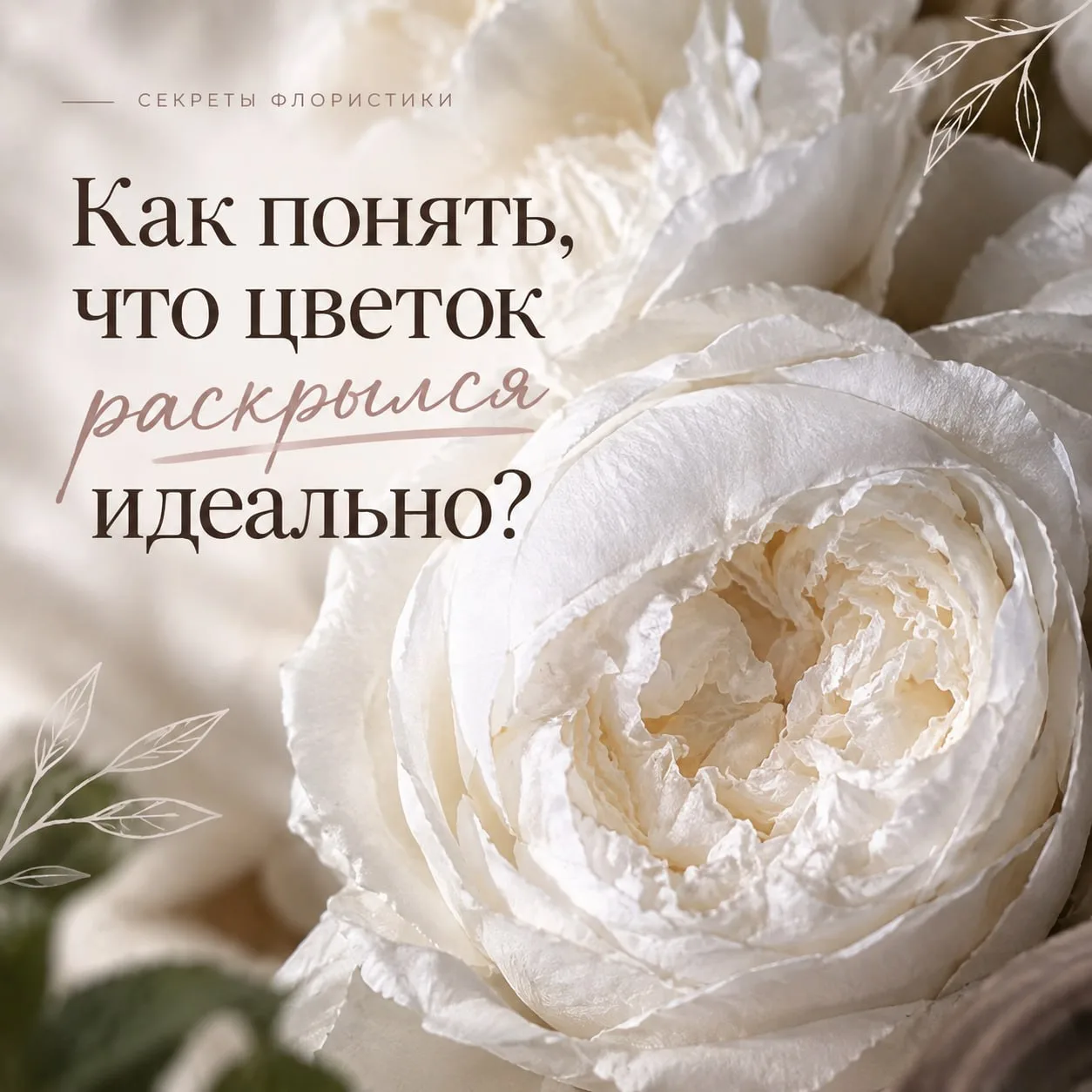 💐 Как понять, что цветок раскрылся идеально?