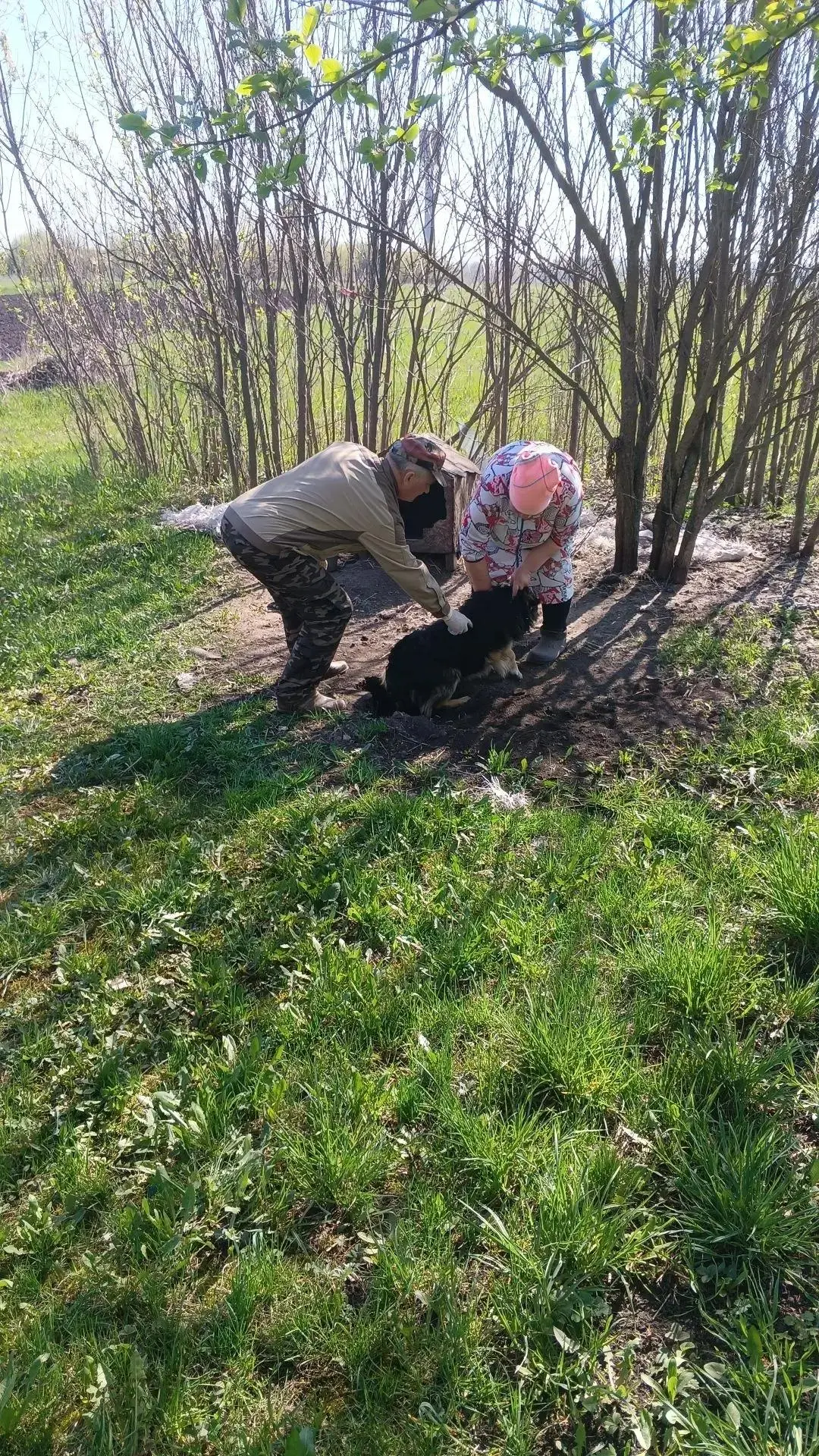 ОГБУ «Тербунская СББЖ» продолжает проводить противоэпизоотические мероприятия на территории Тербунск