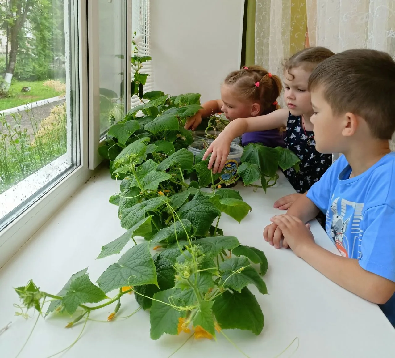 Солнечное лето — здоровые дети! 🌞🥒

В группе "Любознайки" прошло по-настоящему теплое и полезное м