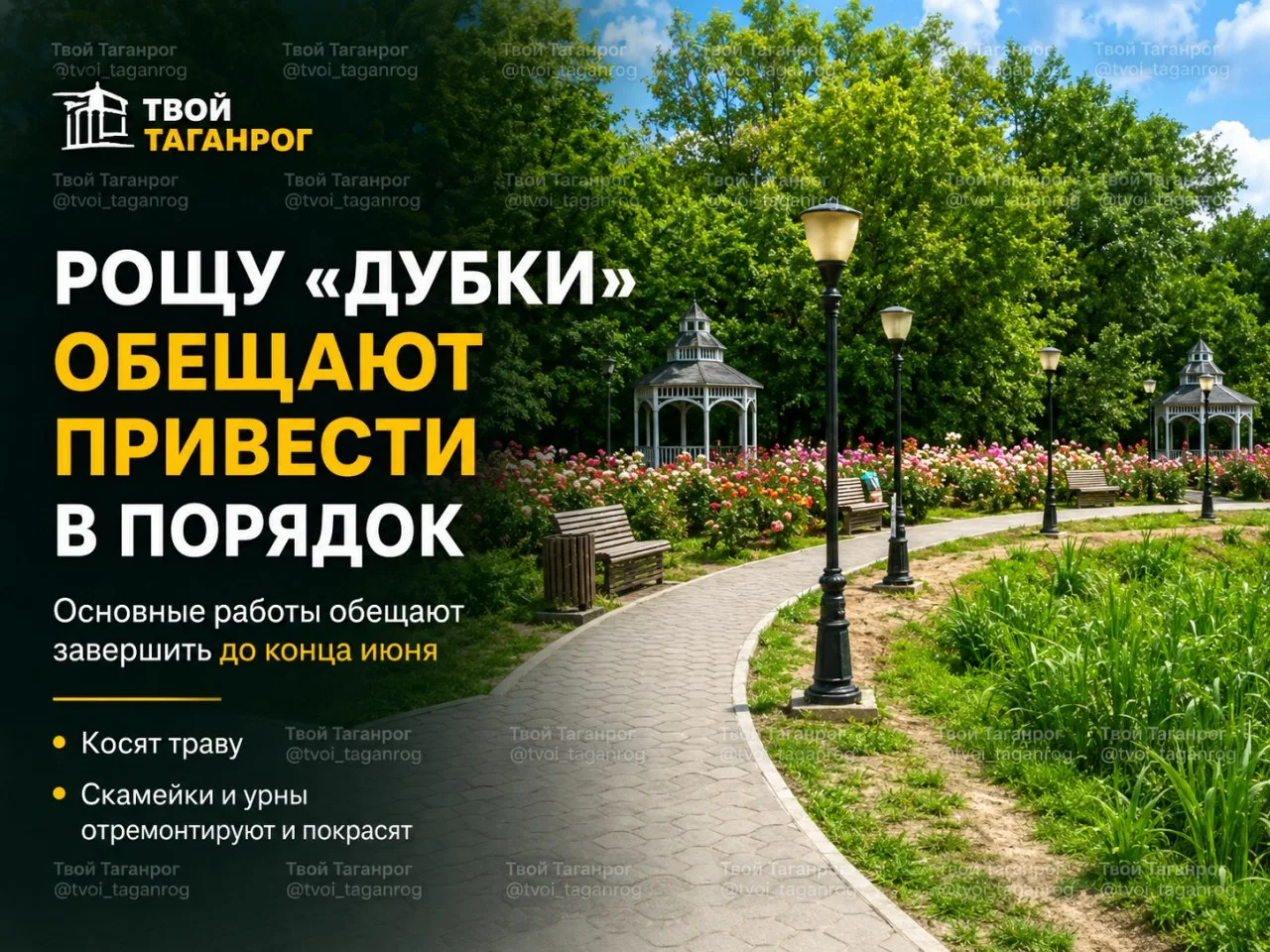🌳 В роще «Дубки» пообещали навести порядок до конца июня