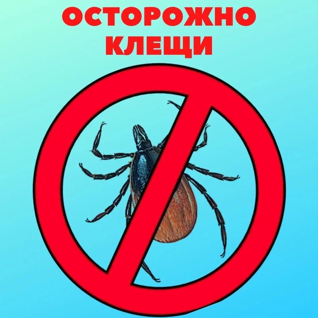 Осторожно, клещи!