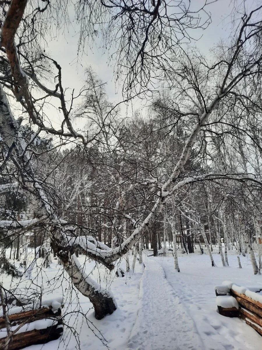 Королева двора. Рассказ