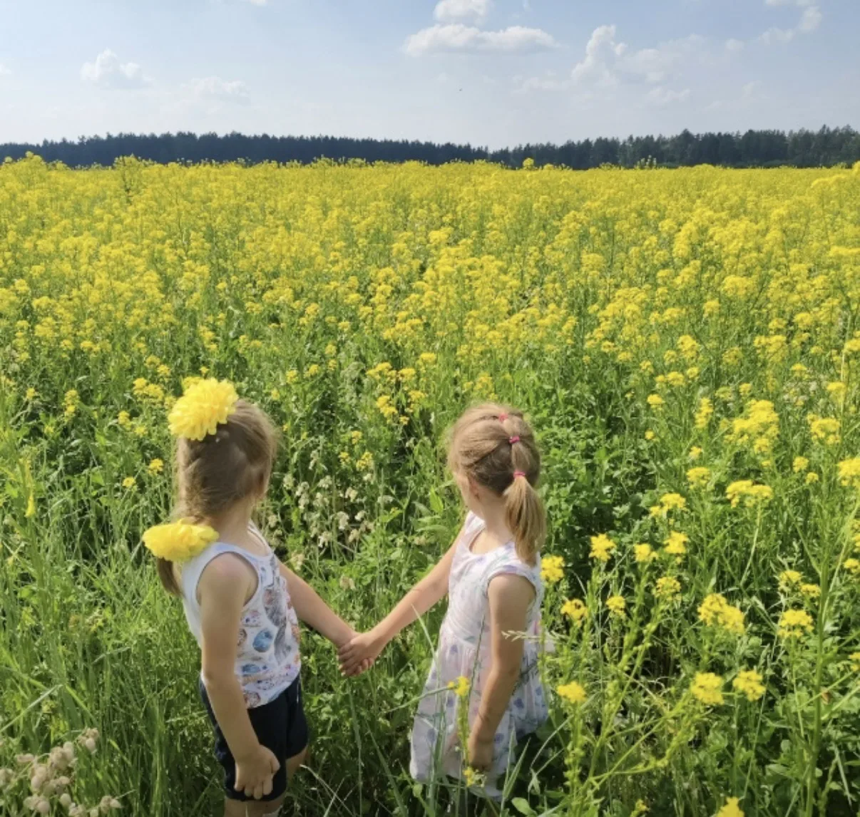 ☁️Доброе утро

📸Фото- Ксении Горбаченко -Роденковой 🥰👧👧

По данным синоптиков сегодня -  от +18°