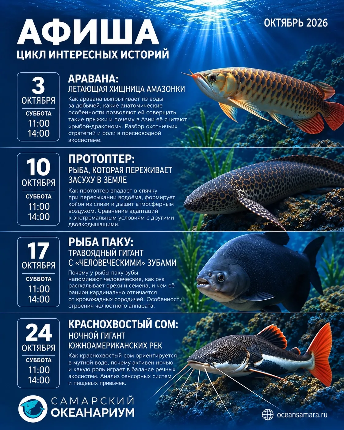 ОКТЯБРЬ В ОКЕАНАРИУМЕ 🐟