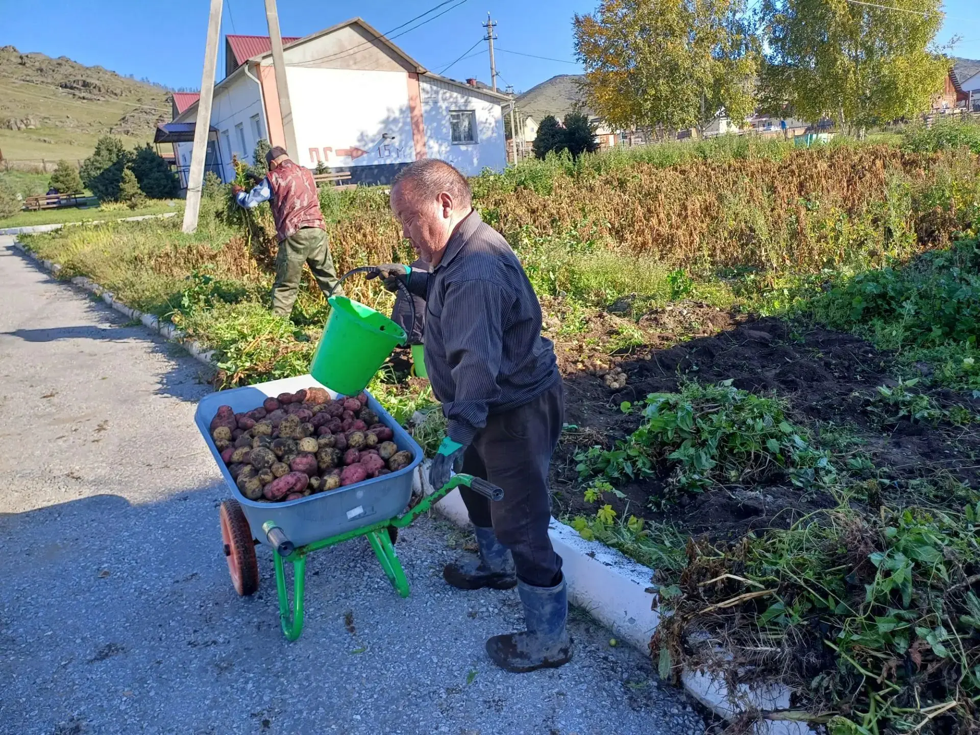 " Забота о каждом клубне"