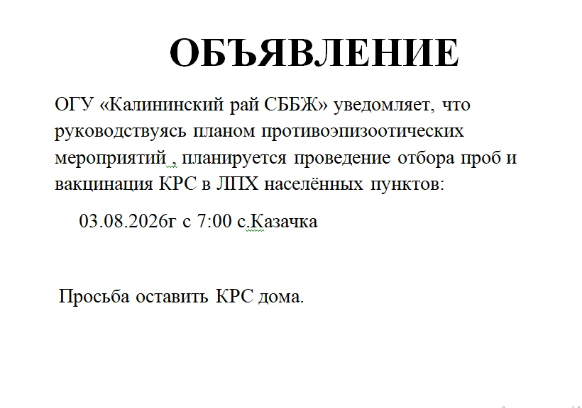 Медиа публикации