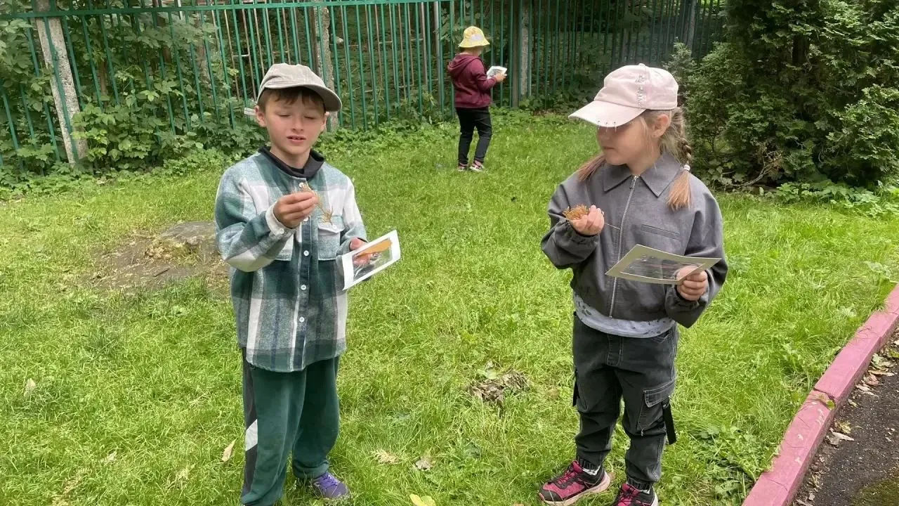 «Наш первый гербарий»
