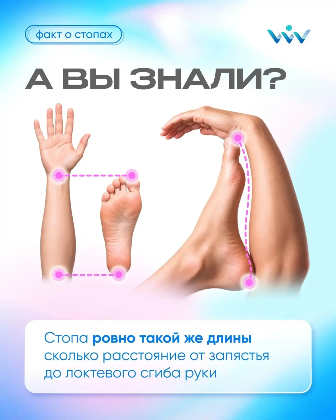 Проверьте прямо сейчас: удивительный факт об анатомии человека! 📏