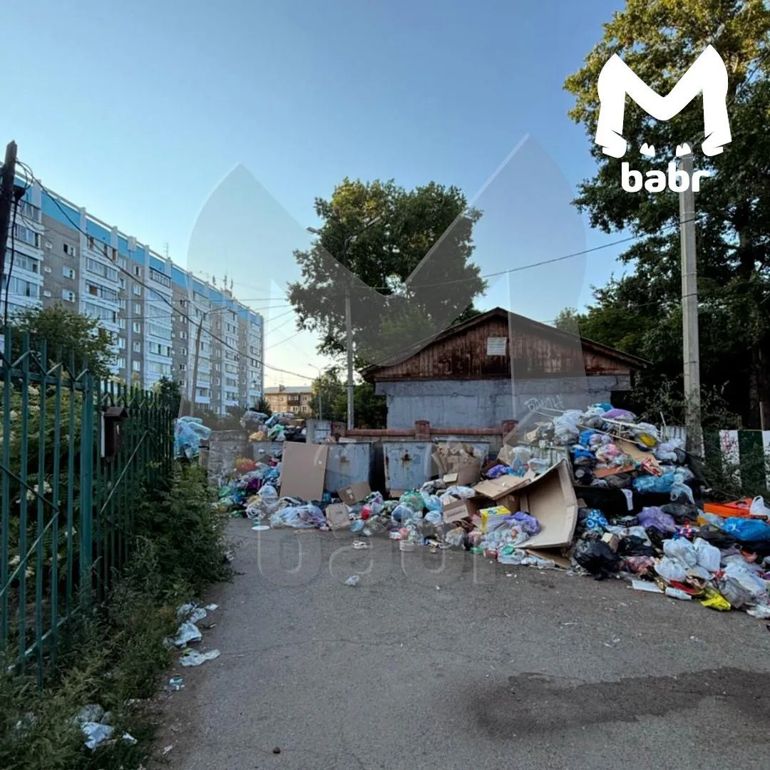 Мусорная свалка разрослась во дворе дома в Иркутске.