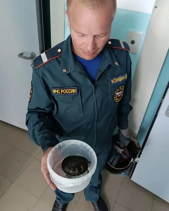 Благодарим наших пожарных‑спасателей за неравнодушие и профессионализм! 🧑🏼‍🚒♥️

В сложной ситуаци