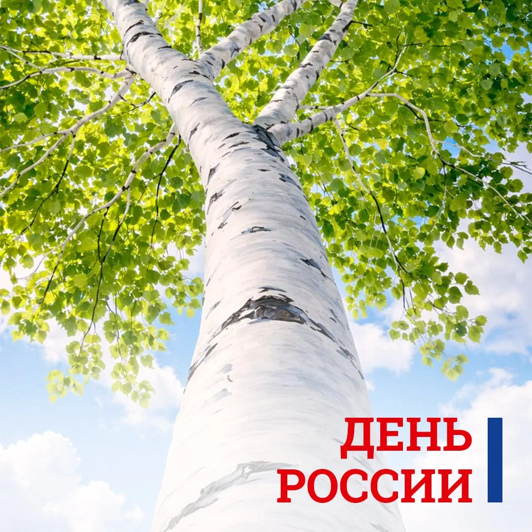 С Днём России! 🇷🇺

Стабильность страны начинается с надёжного тыла вашего бизнеса.

Желаем уверенн