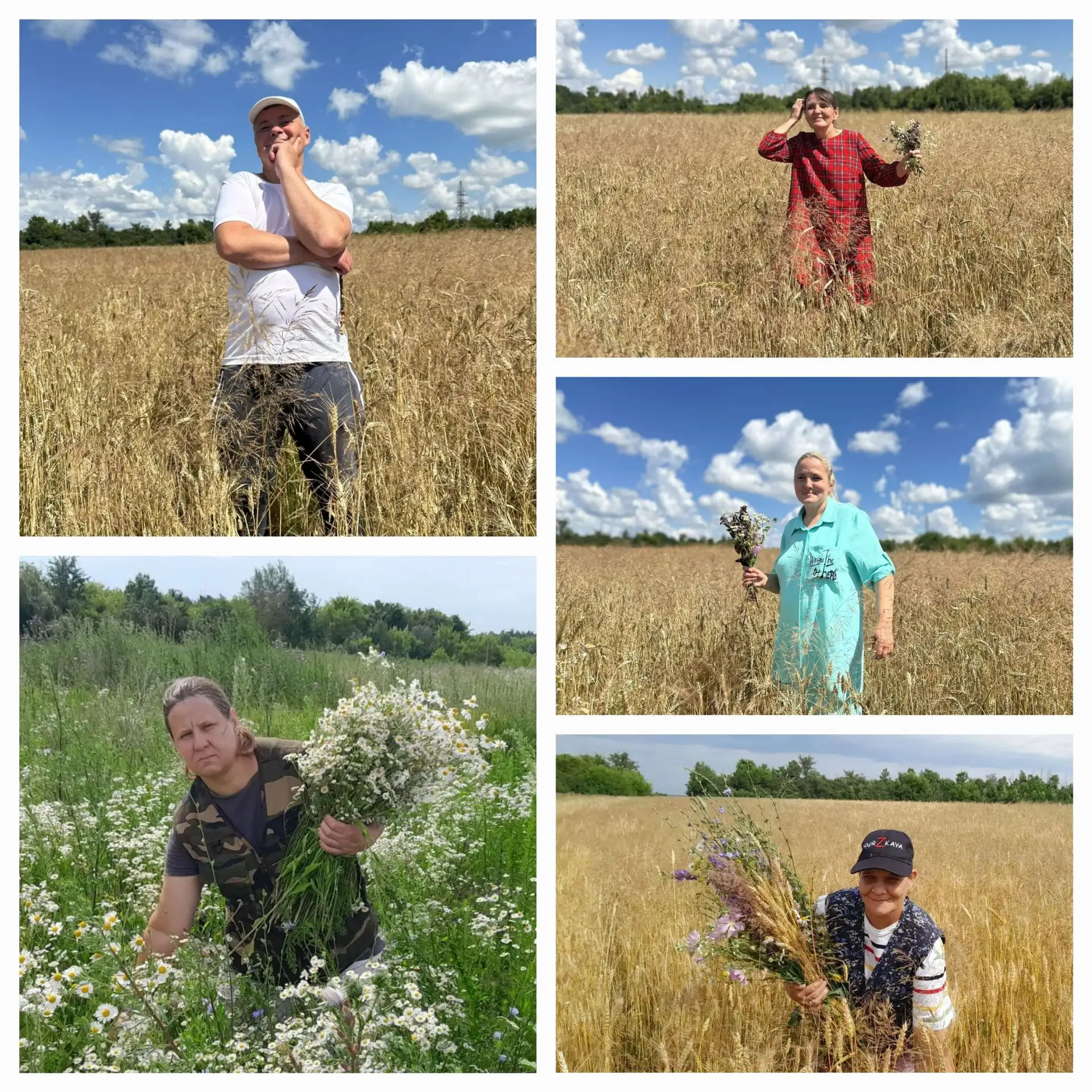 🌼 Июльское настроение: день, наполненный ароматом полевых цветов! 🌼
