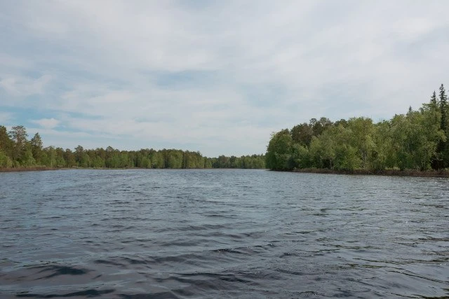 В Березовском районе на реке Щекурья во время купания в необорудованном месте утонул му...