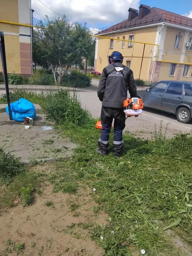 УК «Альянс» публикует фото с Чехова 1, 3, 5 и 7, где и планировалась работа по стрижке ...