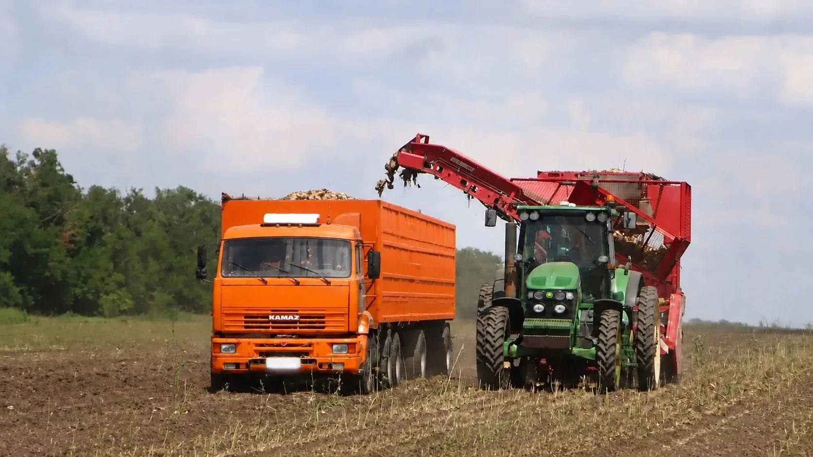 🚜Уборка сахарной свёклы в АПК «Кубаньхлеб»