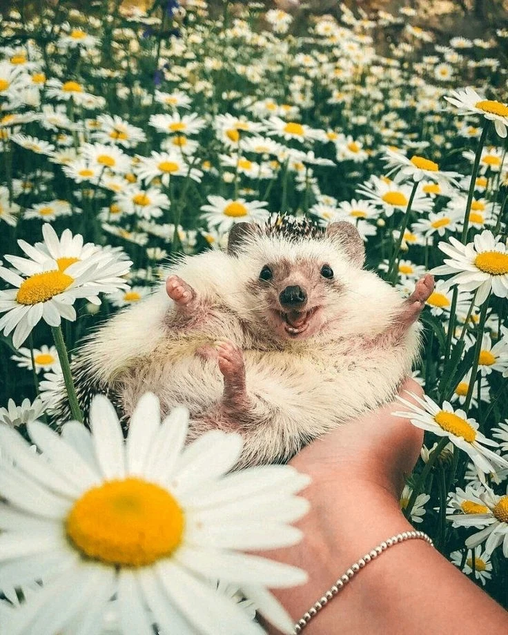 Друзья, посмотрите на это фото!