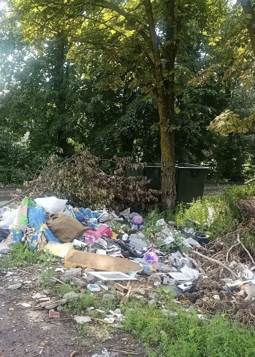 В Балашове решается вопрос с вывозом мусора 

На улице Спортивной в районе Хлебной базы контейнерная