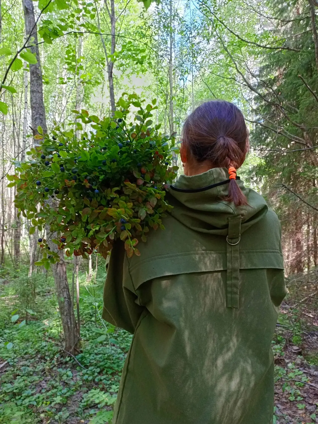 🌲 Лес - место силы.

Лес - это не просто красивое место для прогулок, это целая живая система, от к