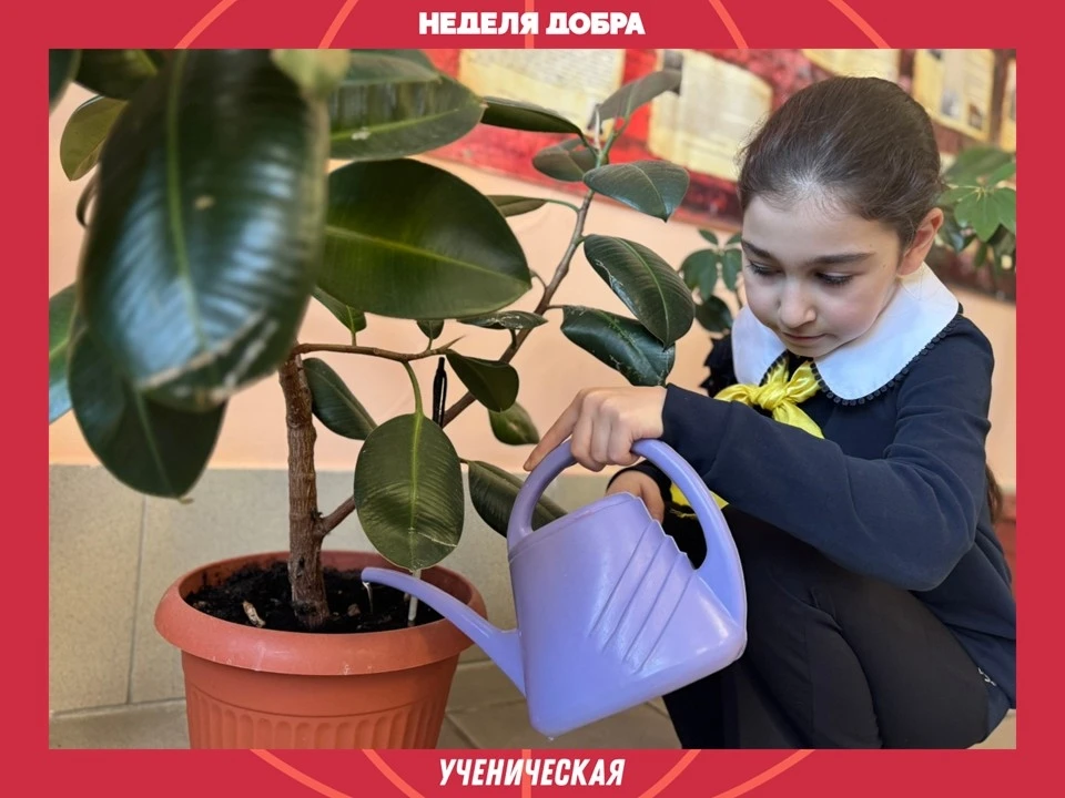 ✨Космический субботник  Друзья! Рады сообщить, что мы приступили к реализации проекта «Ученическая н