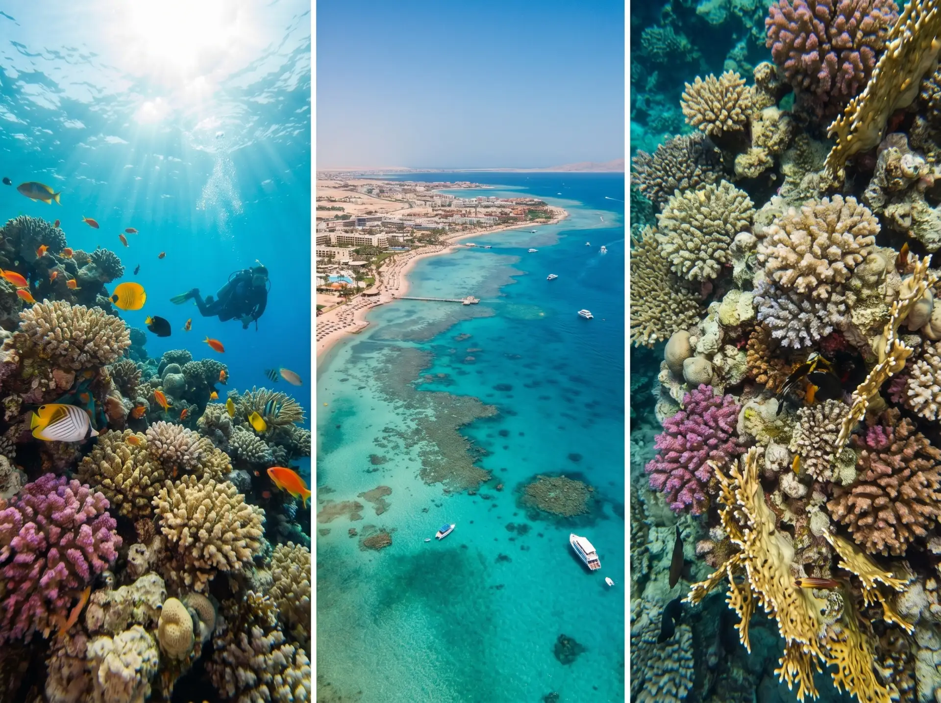 🇪🇬 Египет: лучшие курорты для семейного отдыха 🌴