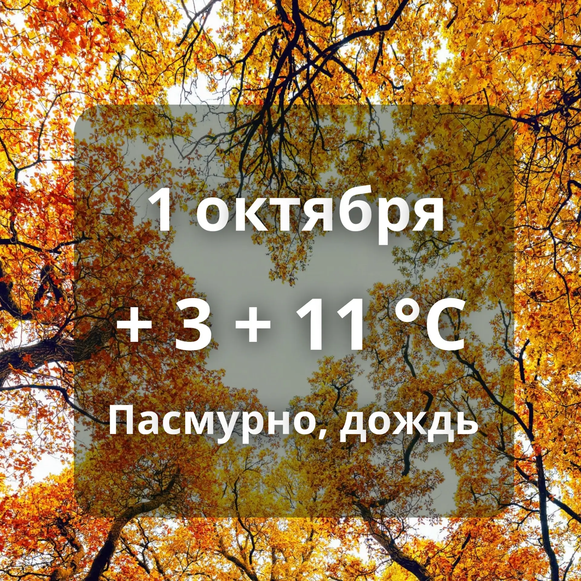⛅Погода в Аксарке на сегодня