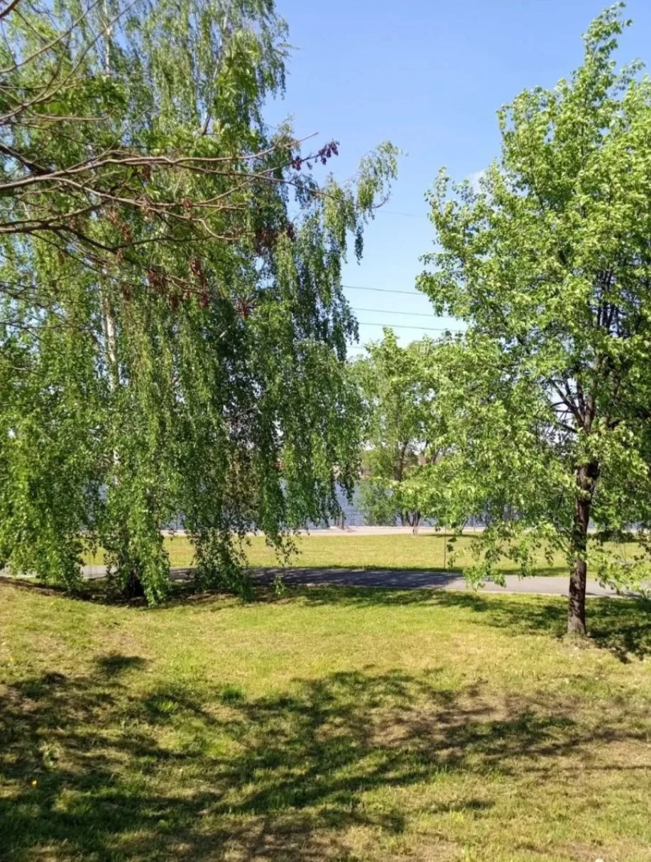 Добро утро! Прекрасного настроения на весь день! 

Фото Горюновой Е.А.