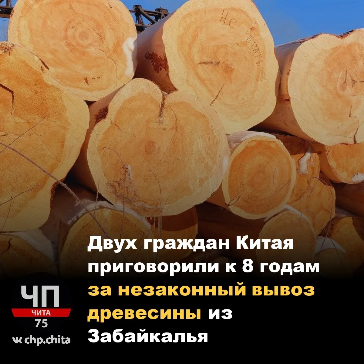 🛑 Двух граждан Китая приговорили к 8 годам за незаконный вывоз древесины из Забайкалья