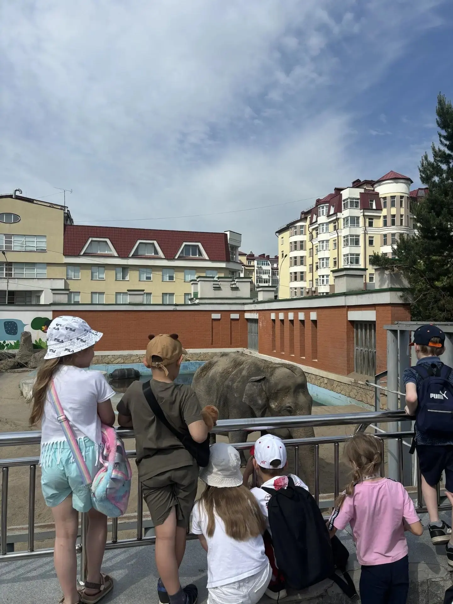 🌳🦁 Майский эко-марафон 1Г: от редких растений до царя зверей! Наши первоклассники из 1 «Г» завершают