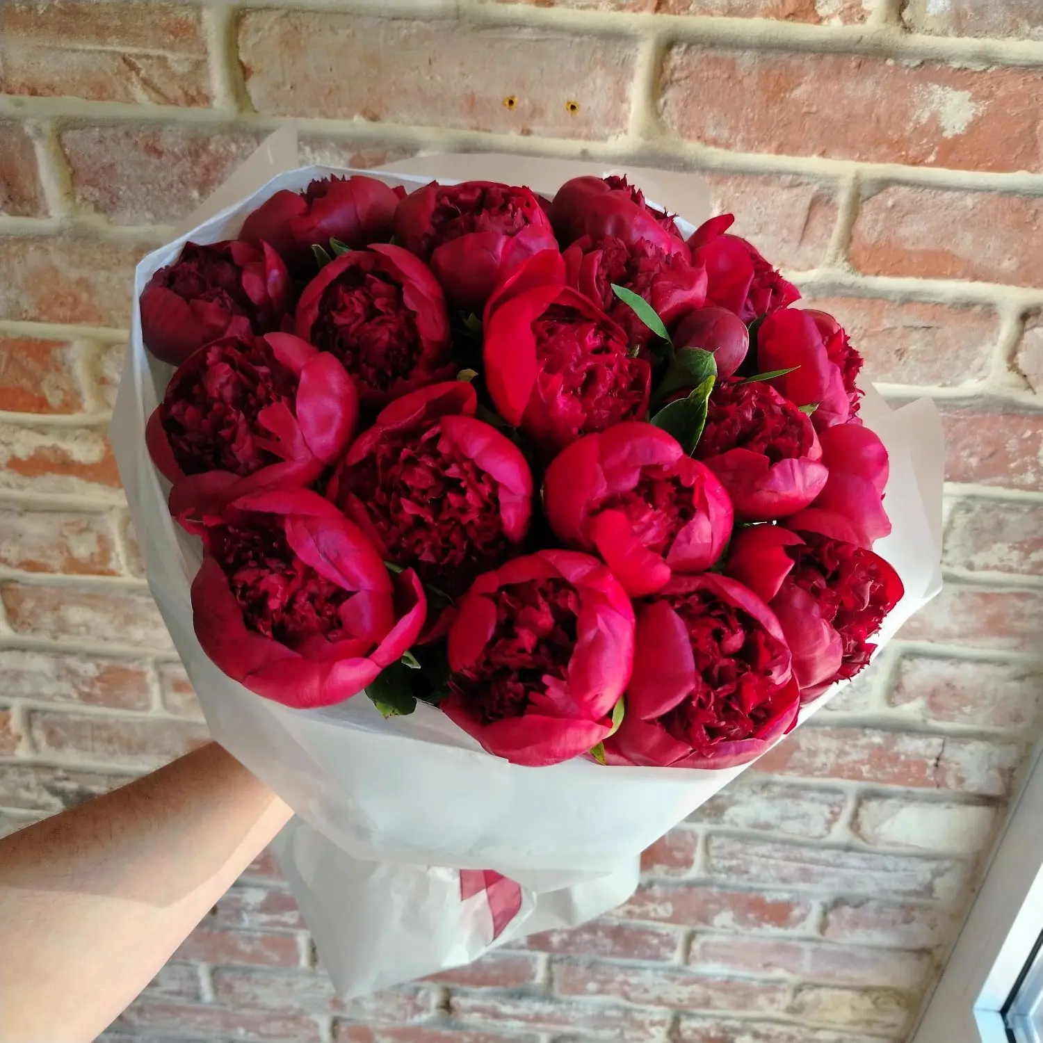 Букет обалденных пионов Олд Рэд. 19штук.😍😍😍