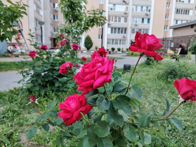 ⛈️ Cаратовцев предупредили о грозах с градом