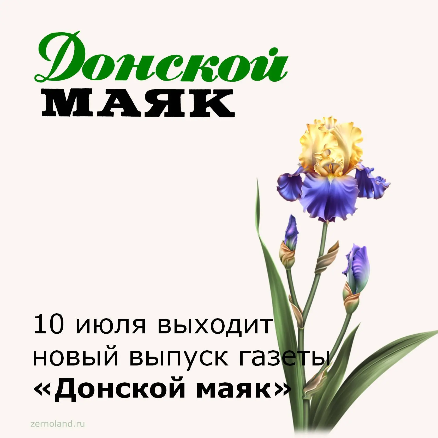 📰 Завтра, 10 июля, выйдет в печать свежий номер районной газеты «Донской маяк».