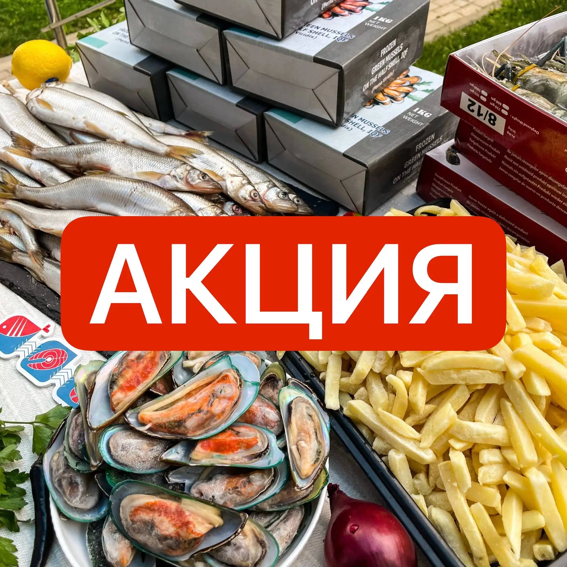 🔥 КОРЮШКА 588 ₽/КГ И ЗЕЛЁНЫЕ МИДИИ 388 ₽ - НУ КАК ТУТ НЕ ЗАЙТИ?