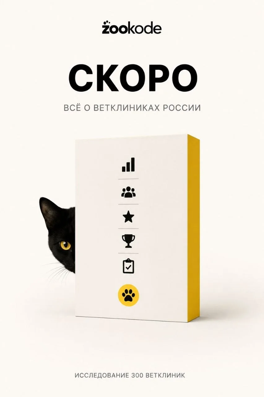⏳ Один день до публикации. Коротко, что внутри: