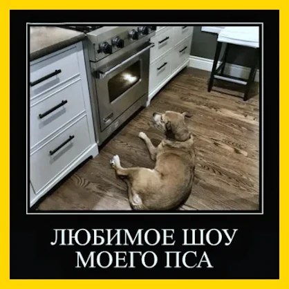 Полный Хохотамбл! Подпишись скорее