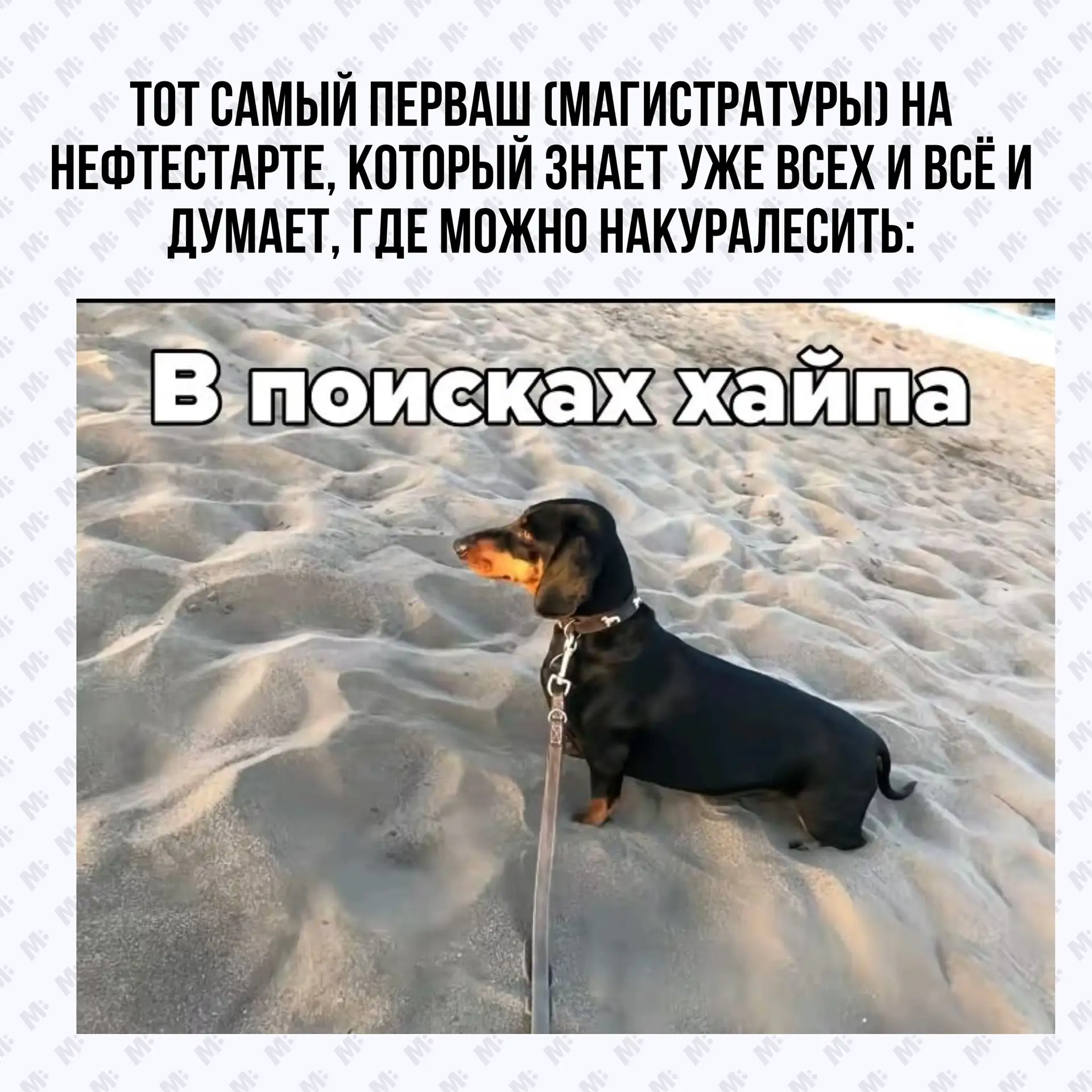 Ну что, Молодёжь Нефтяного! Как тебе первая учебная неделя?