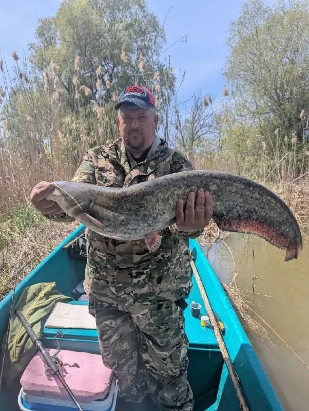 Отличный сомик! 💪🎣

💬Комментарии
