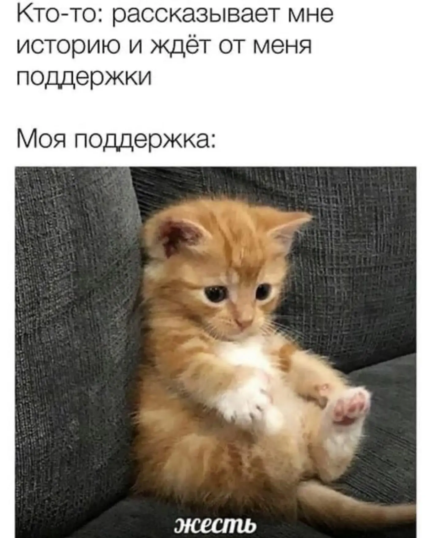 ____________________