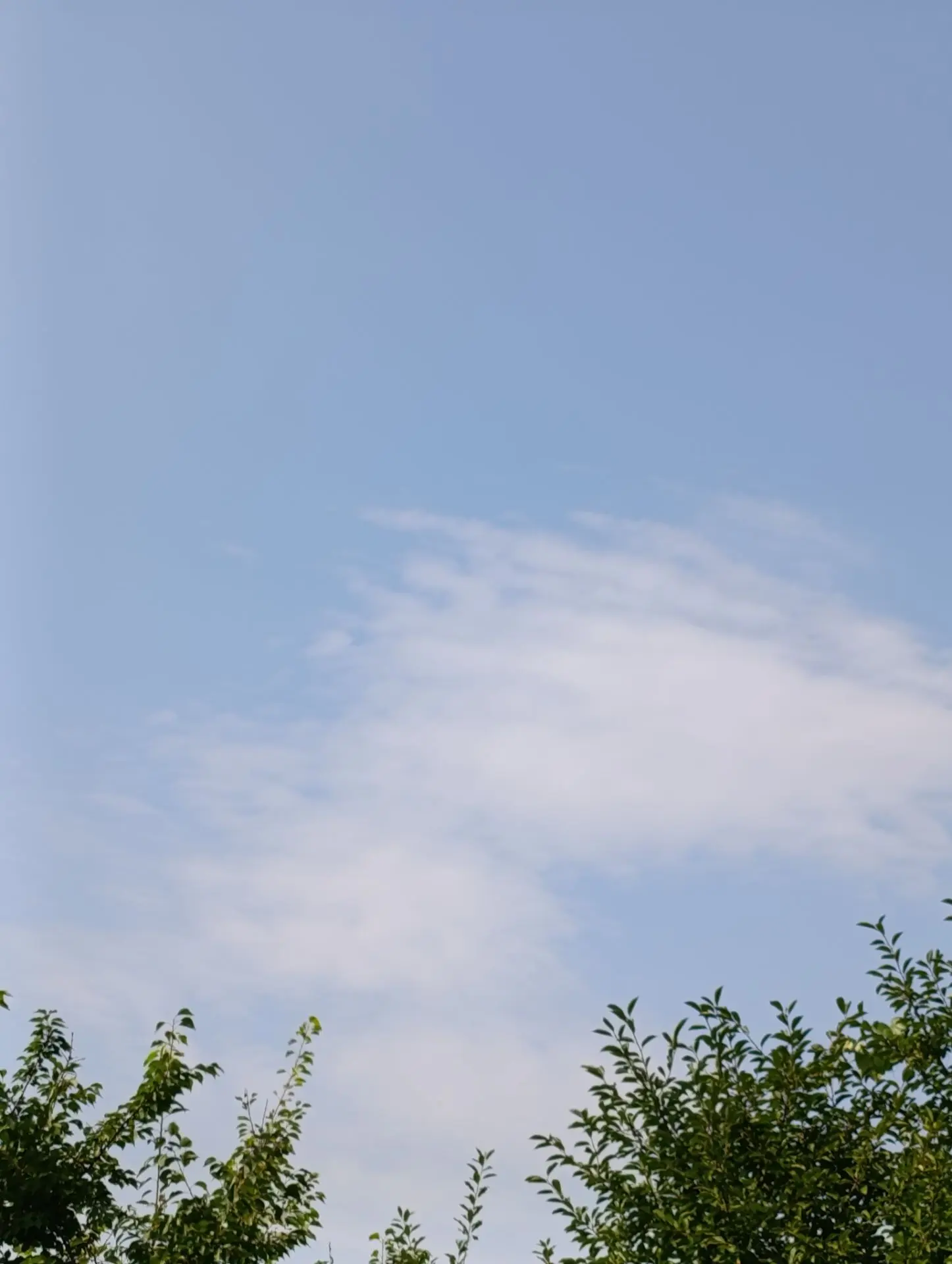 Мирного, чистого неба, доброго воскресенья ☀️