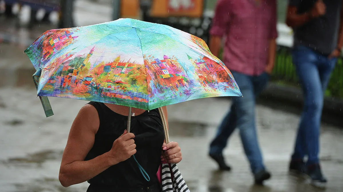 Сегодня днем в Хабаровске температура воздуха составит 25.. 27 °C. Ветер юго-западный 7 - 12 м/с. Кр
