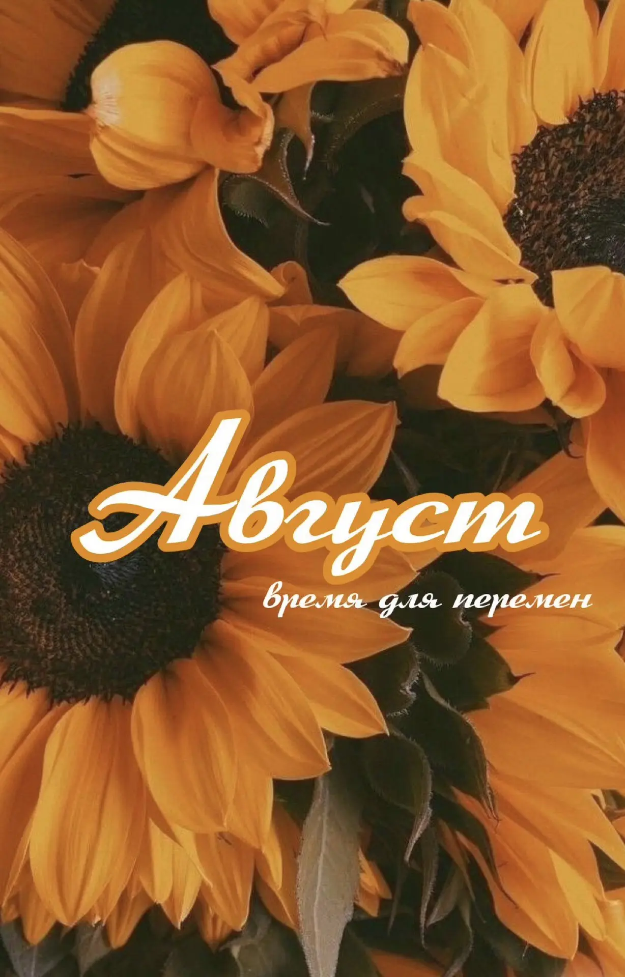 Что изменится в жизни россиян с 1 августа