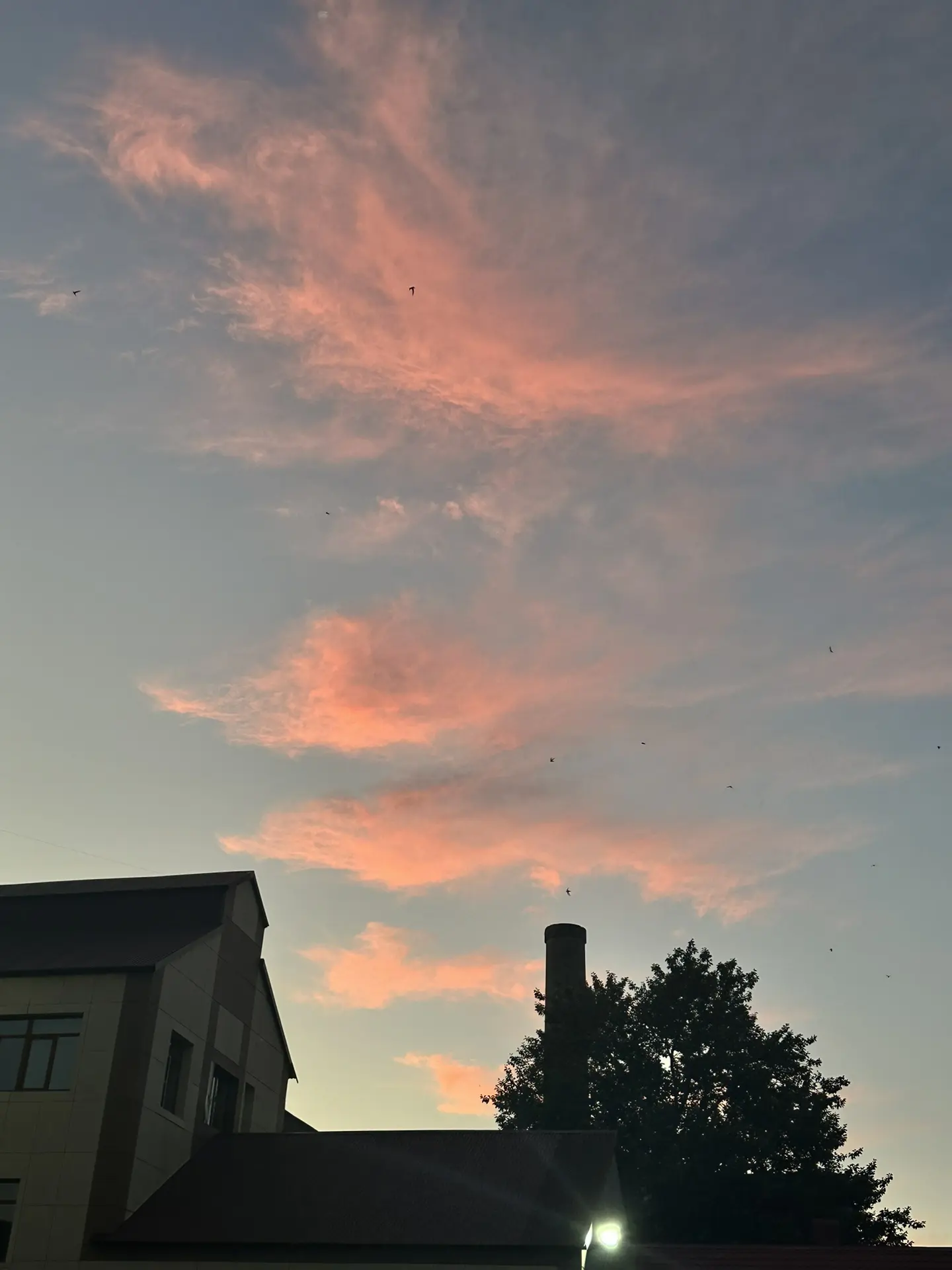 🧡