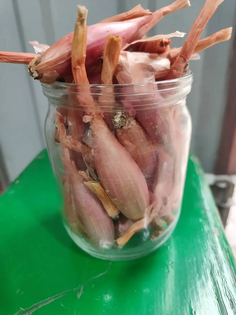 Домашний лук! "Кущевка". 200₽. Донецк - Петровский, Кировский, Ленинский и Буденновский...