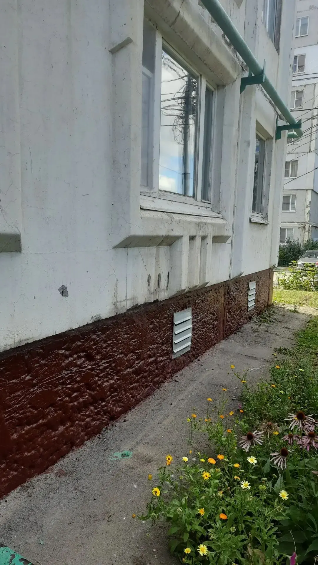 🏡 О выполненных работах по благоустройству 24.08.2026 Вильямса 22