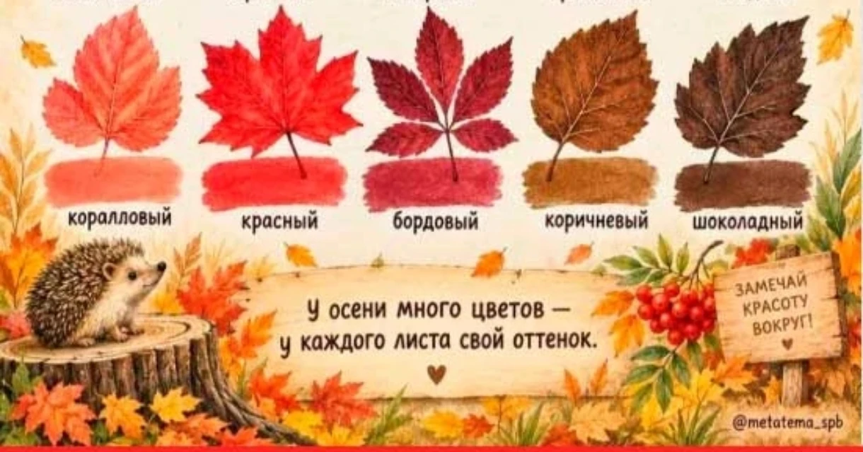 Уважаемые родители - закрепите по дороге в детский сад 🚀