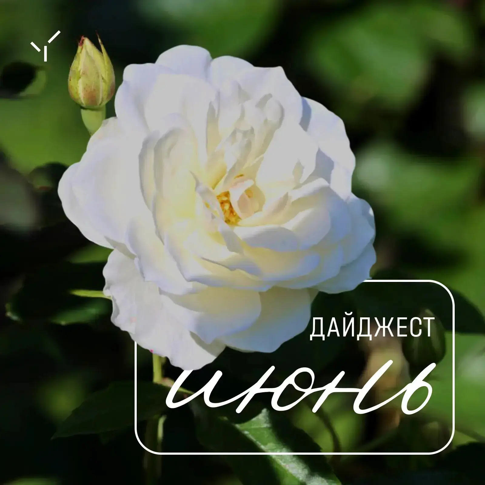 Дайджест на июнь